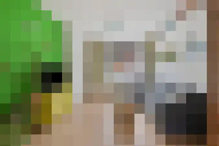 Samuel de Langestraat 23 Eindhoven thumbnail 8