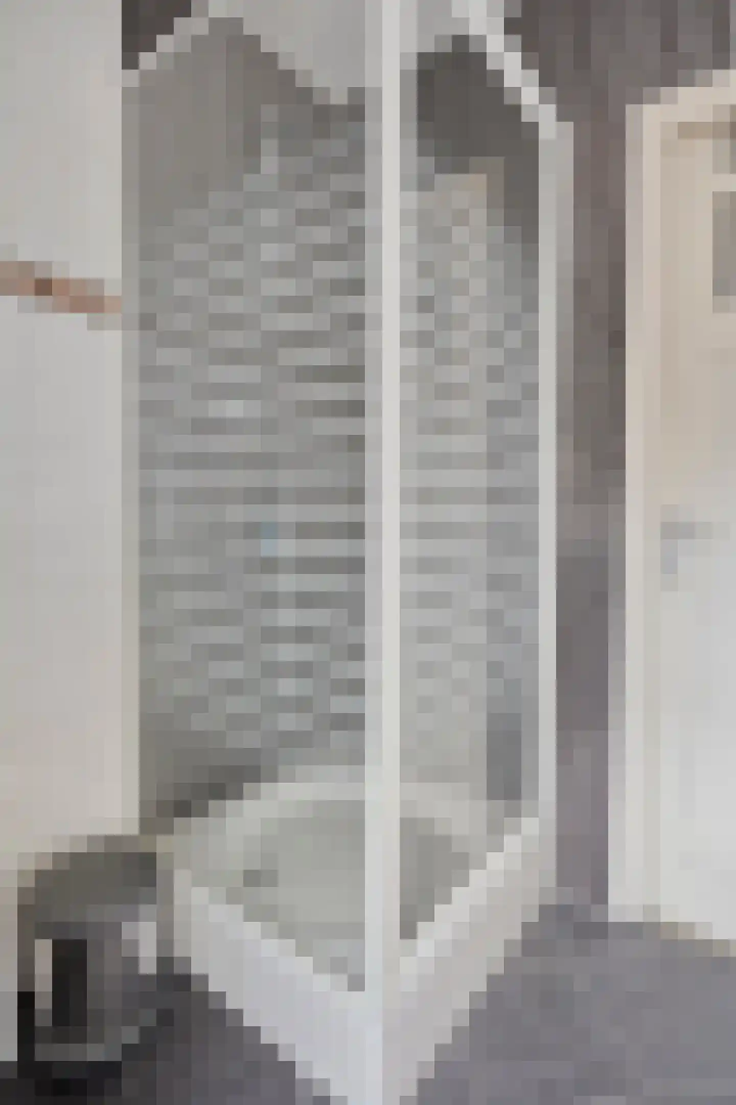 Samuel de Langestraat 36 Eindhoven thumbnail 15
