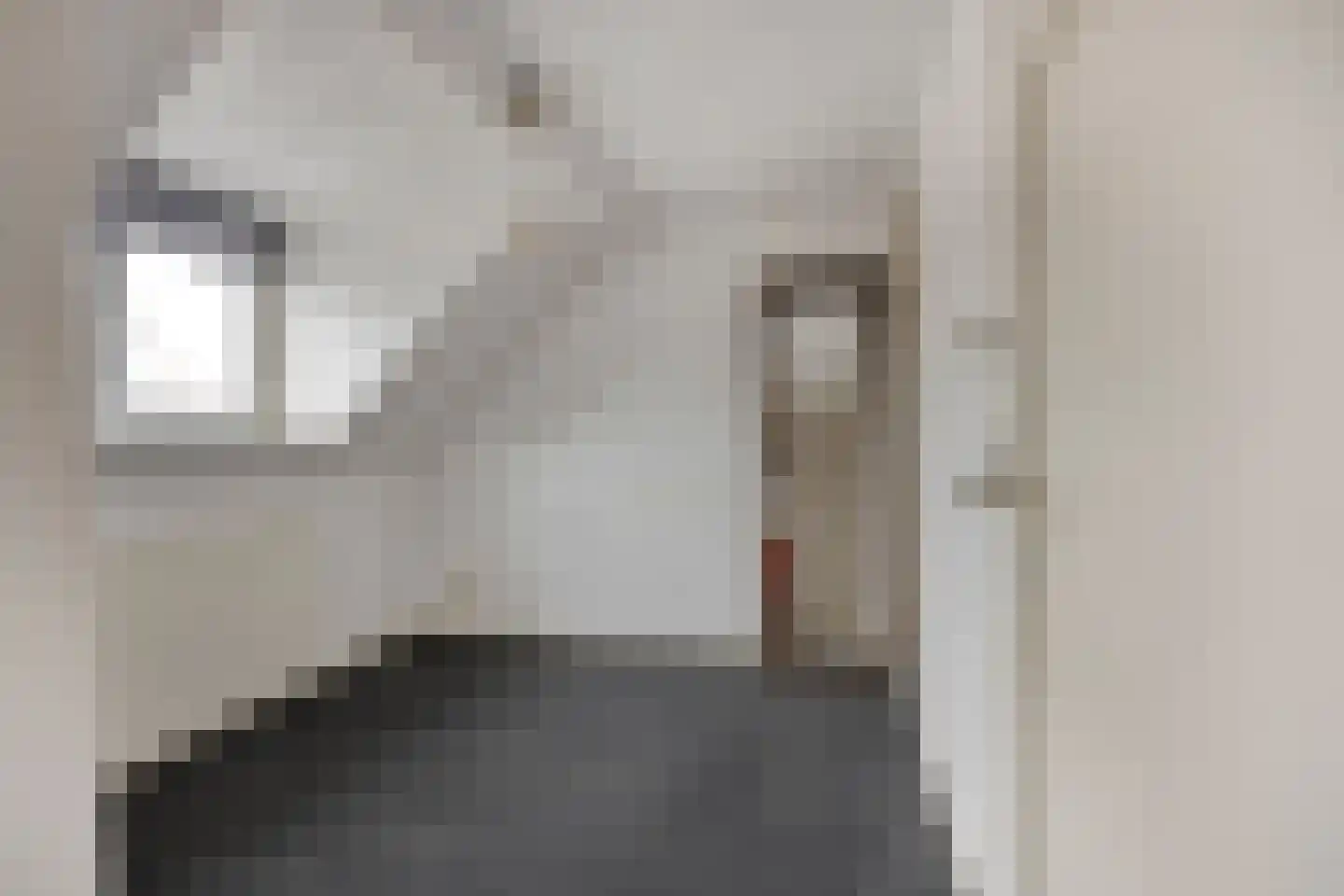 Samuel de Langestraat 36 Eindhoven thumbnail 21