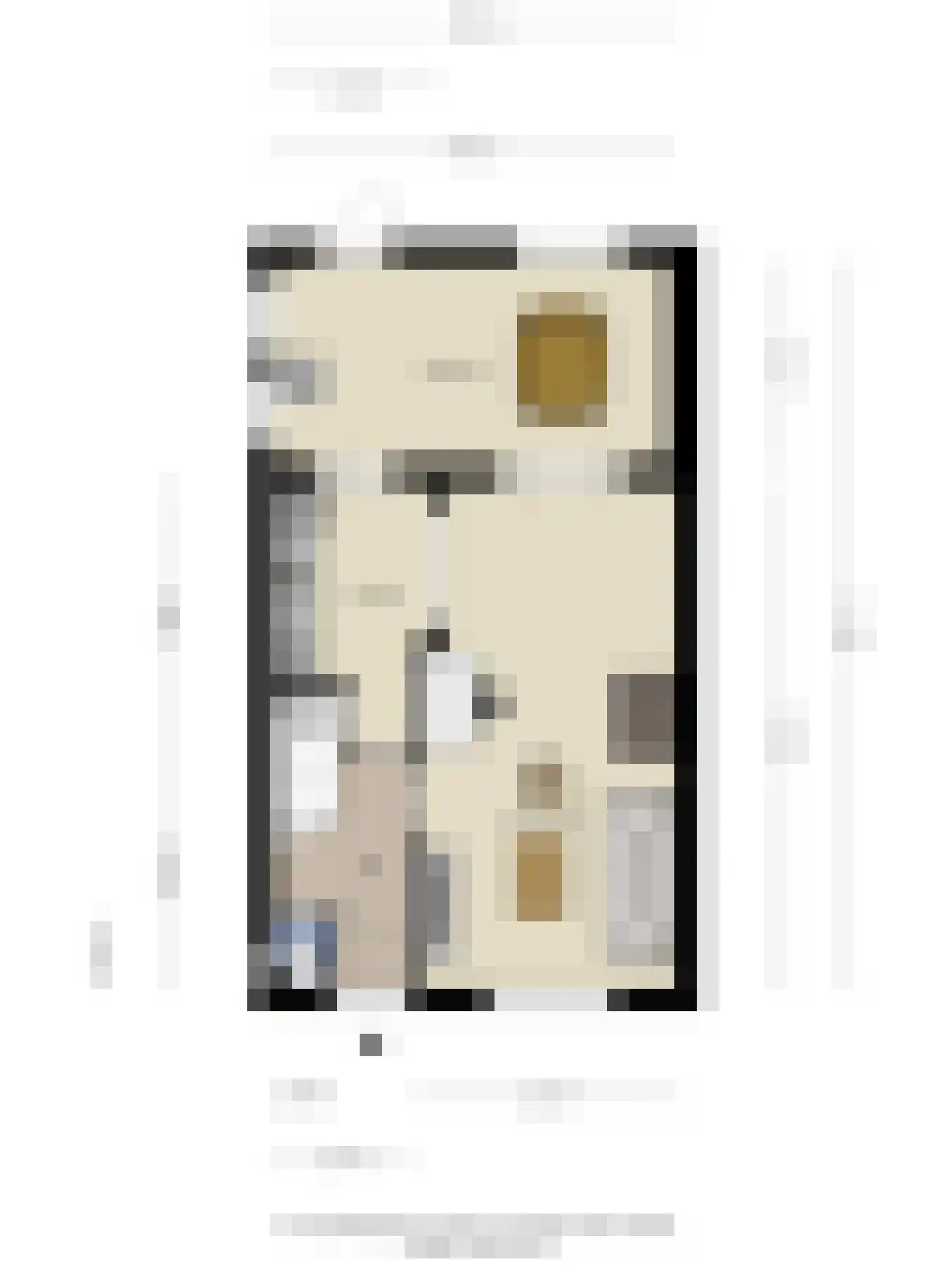Samuel de Langestraat 36 Eindhoven thumbnail 31