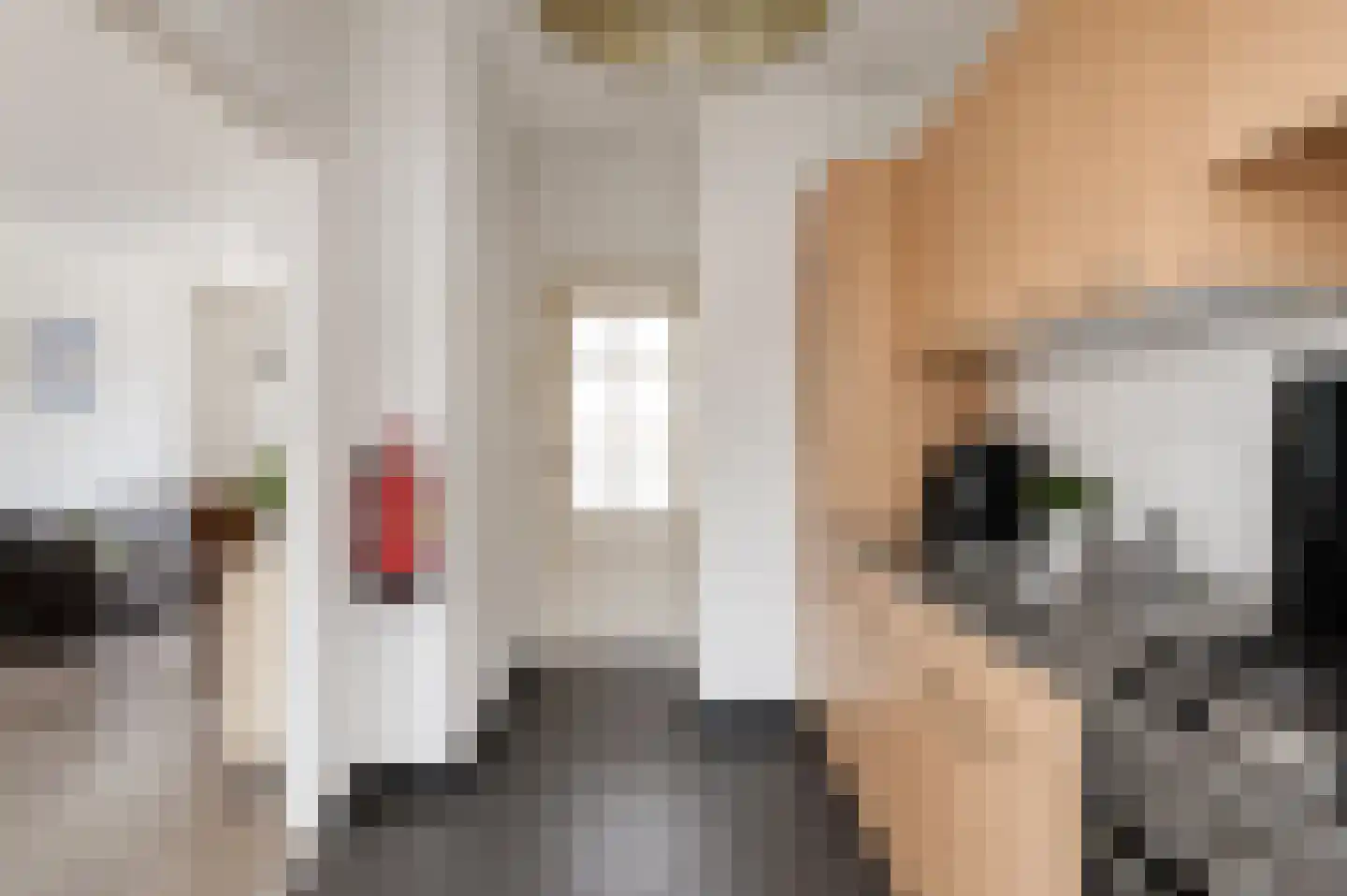 Samuel de Langestraat 36 Eindhoven thumbnail 7