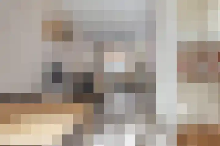 Samuel de Langestraat 43 Eindhoven thumbnail 11
