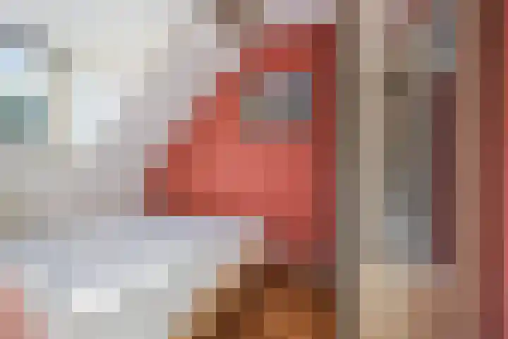 Samuel de Langestraat 43 Eindhoven thumbnail 22