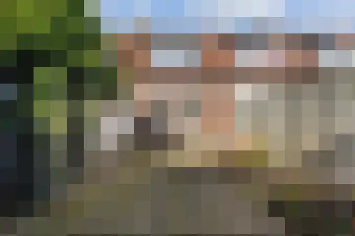 Samuel de Langestraat 43 Eindhoven thumbnail 29