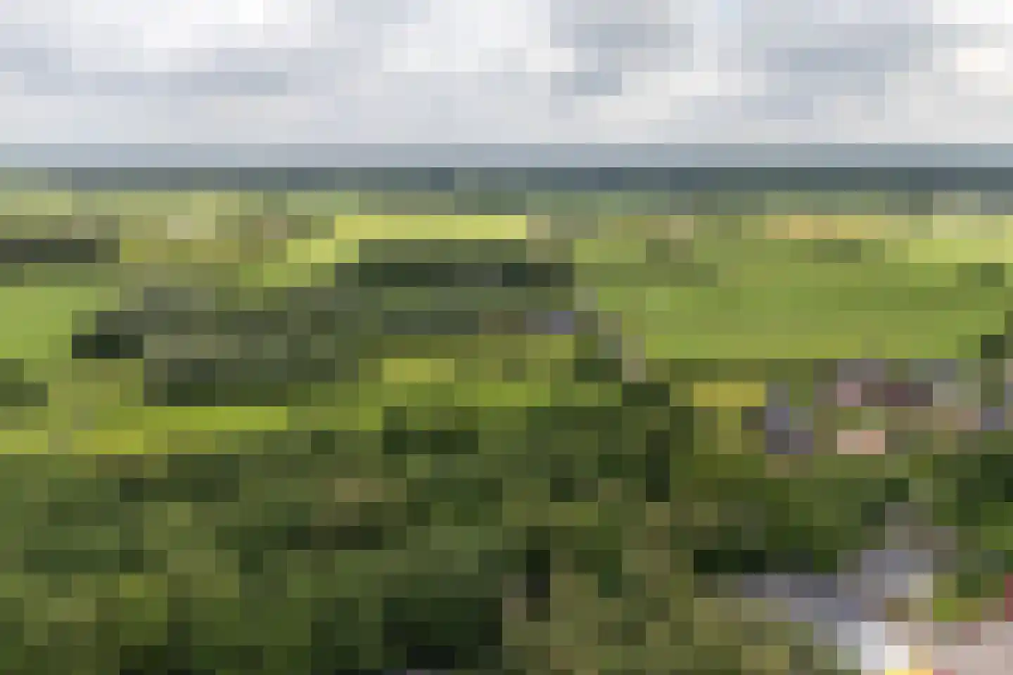 Samuel de Marezhof 113 Maarsbergen thumbnail 58