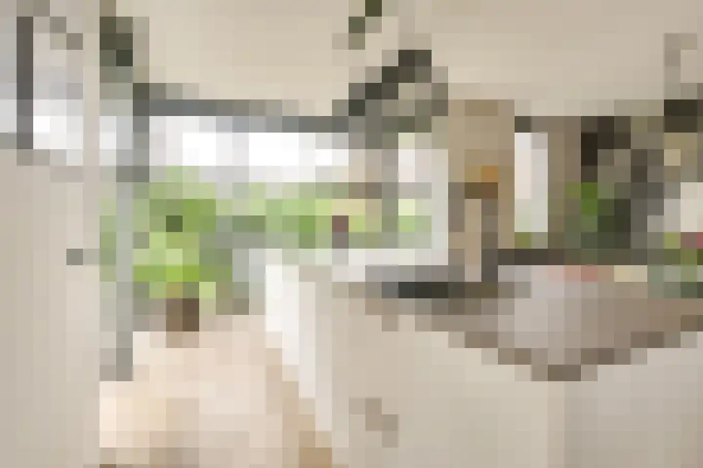 Samuel de Marezhof 113 Maarsbergen thumbnail 6