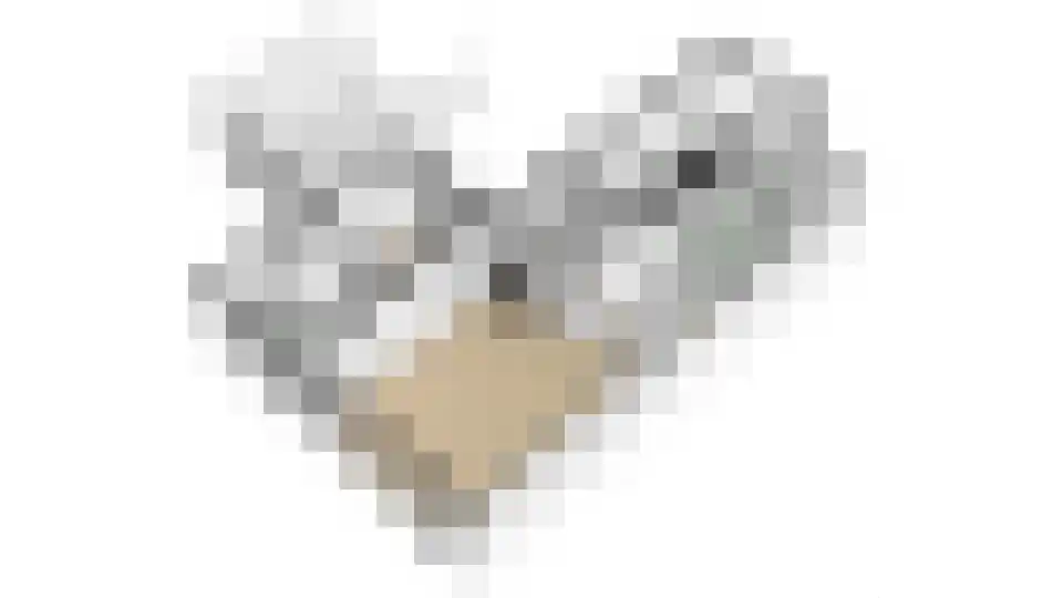 Samuel de Marezhof 113 Maarsbergen thumbnail 61