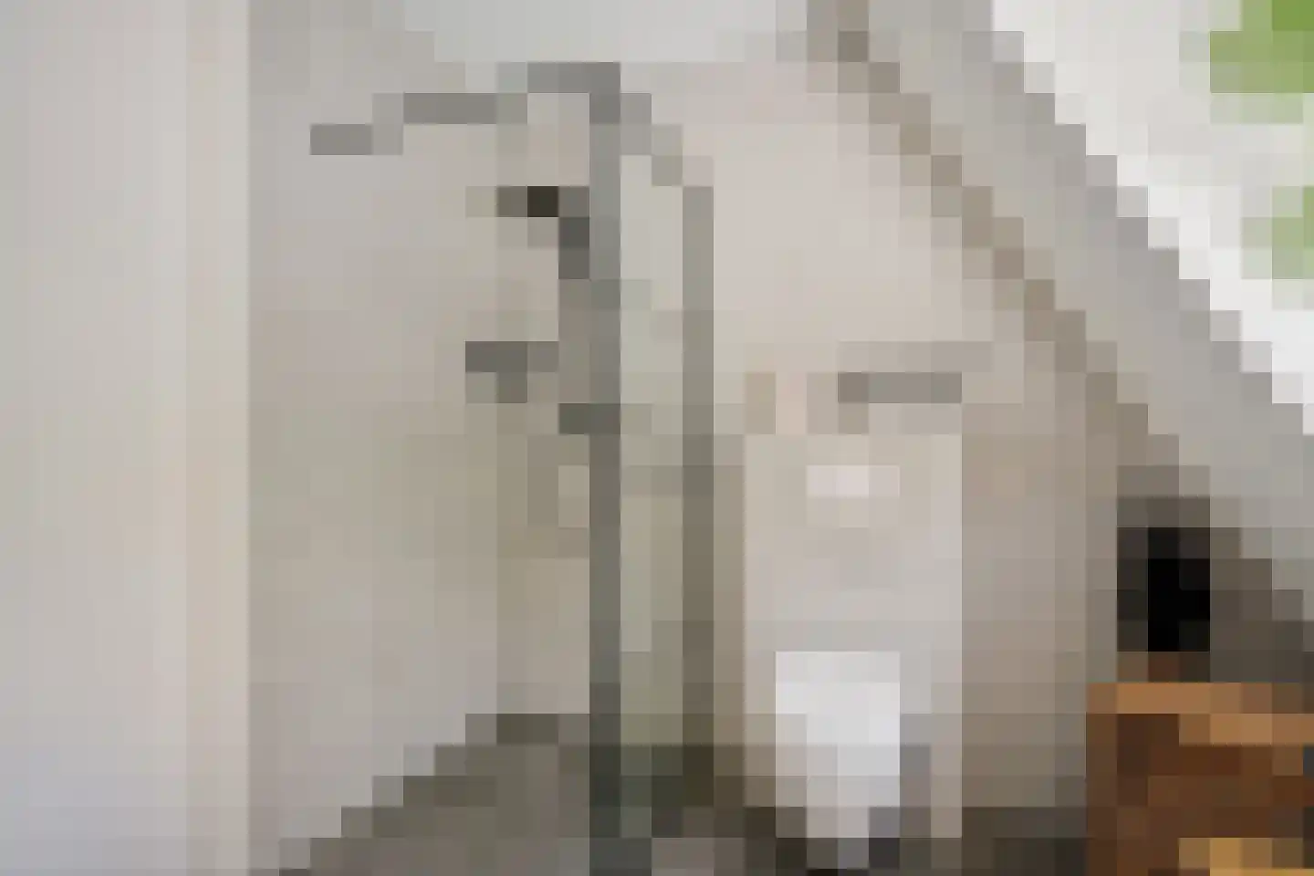 Samuel de Marezhof 17 Maarsbergen thumbnail 25