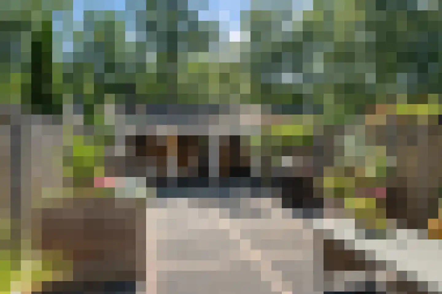 Samuel de Marezhof 17 Maarsbergen thumbnail 30
