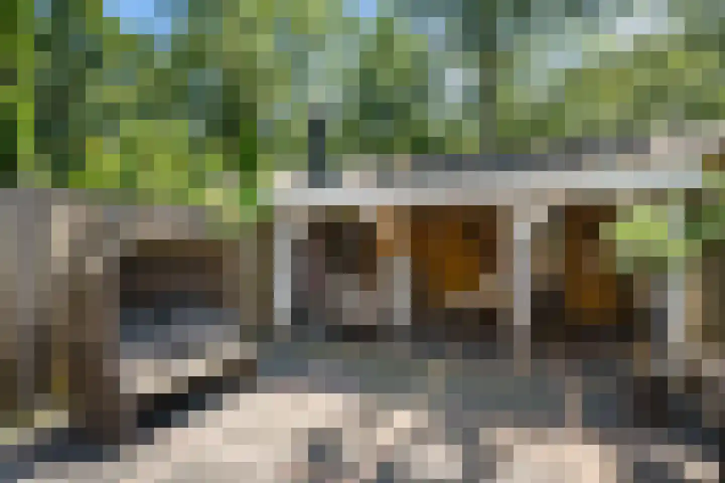 Samuel de Marezhof 17 Maarsbergen thumbnail 31