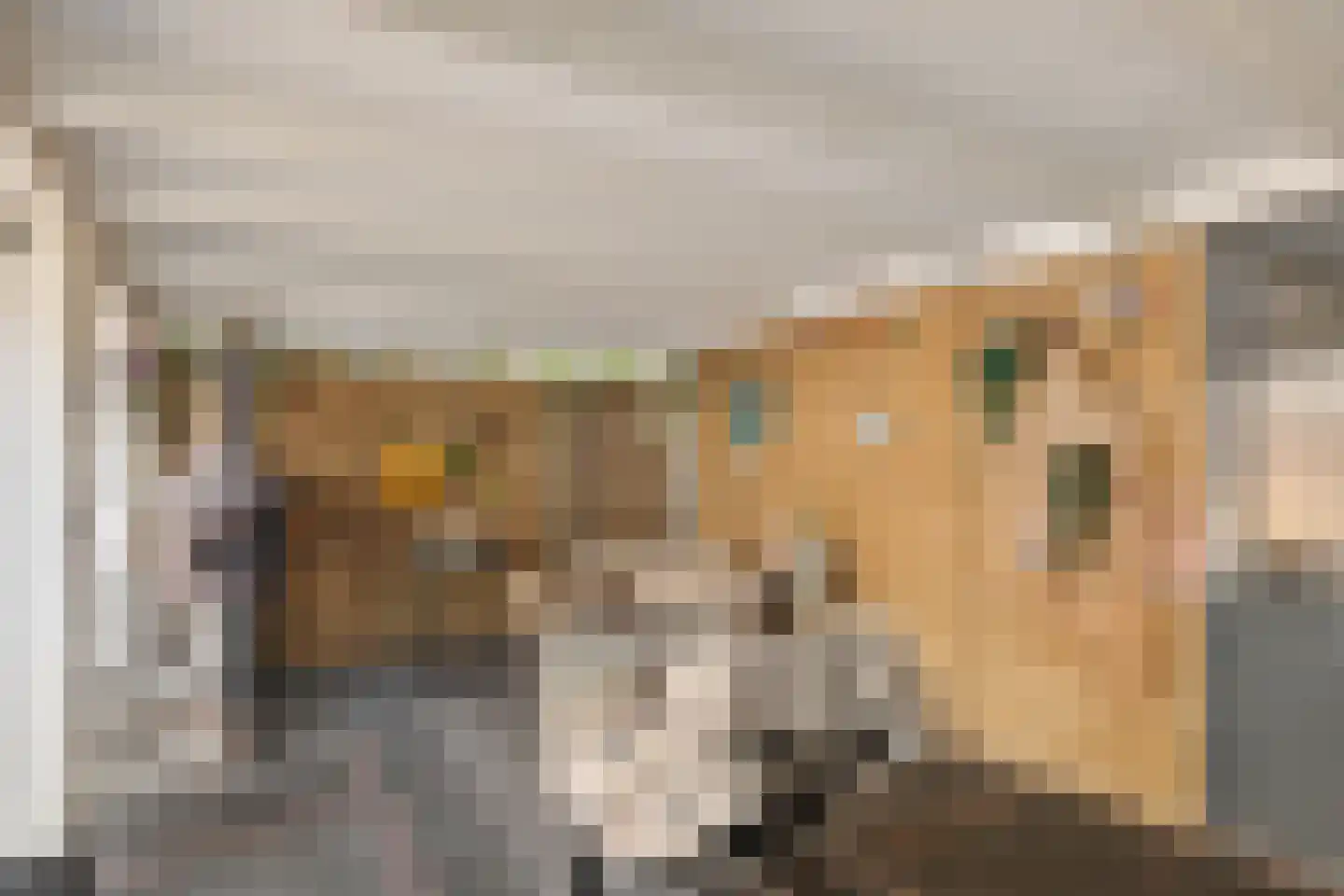 Samuel de Marezhof 17 Maarsbergen thumbnail 32
