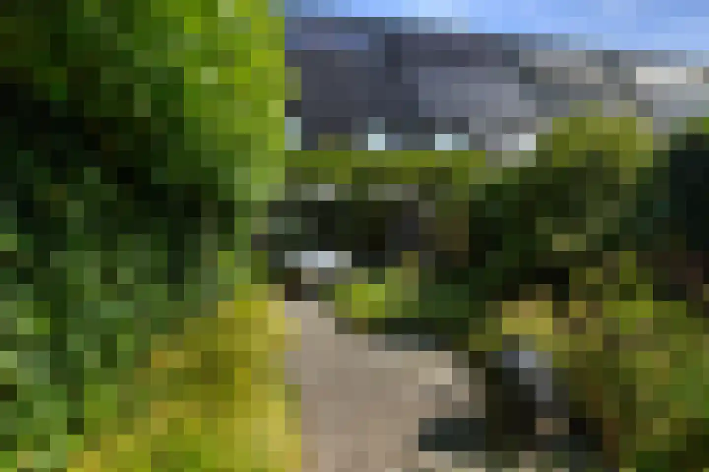 Samuel de Marezhof 47 Maarsbergen thumbnail 43
