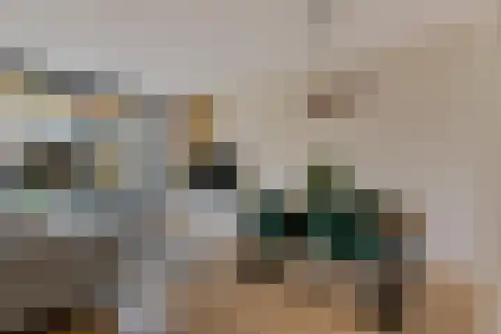 Samuel de Marezhof 61 Maarsbergen thumbnail 10