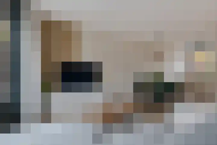 Samuel de Marezhof 61 Maarsbergen thumbnail 11