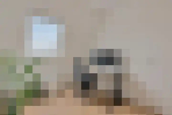 Samuel de Marezhof 61 Maarsbergen thumbnail 26