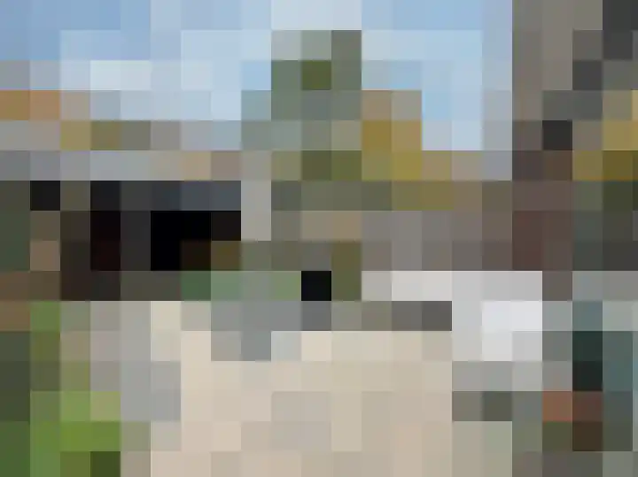 Samuel de Marezhof 61 Maarsbergen thumbnail 27