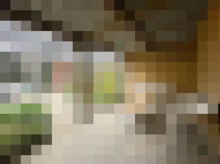 Samuel de Marezhof 61 Maarsbergen thumbnail 30