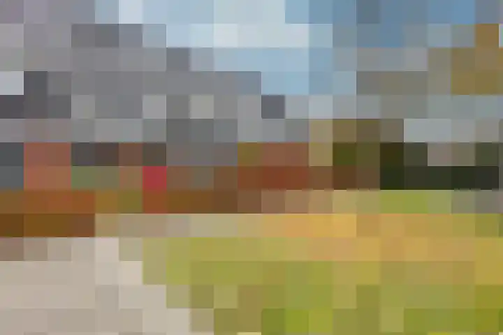 Samuel de Marezhof 61 Maarsbergen thumbnail 32