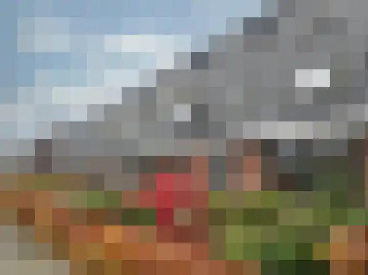 Samuel de Marezhof 61 Maarsbergen thumbnail 5