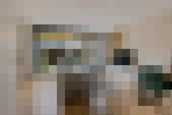 Samuel de Marezhof 61 Maarsbergen thumbnail 8