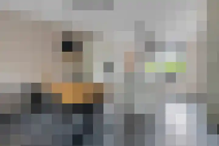 Samuel de Marezhof 89 Maarsbergen thumbnail 11