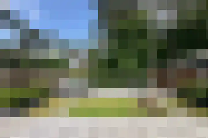 Samuel de Marezhof 89 Maarsbergen thumbnail 33