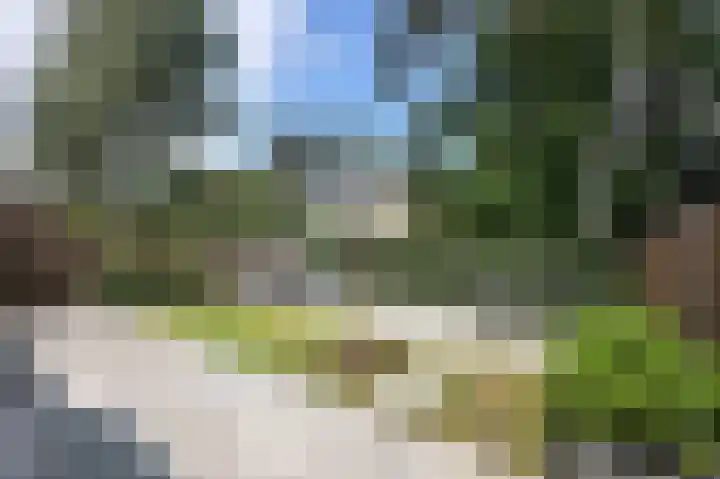 Samuel de Marezhof 89 Maarsbergen thumbnail 34