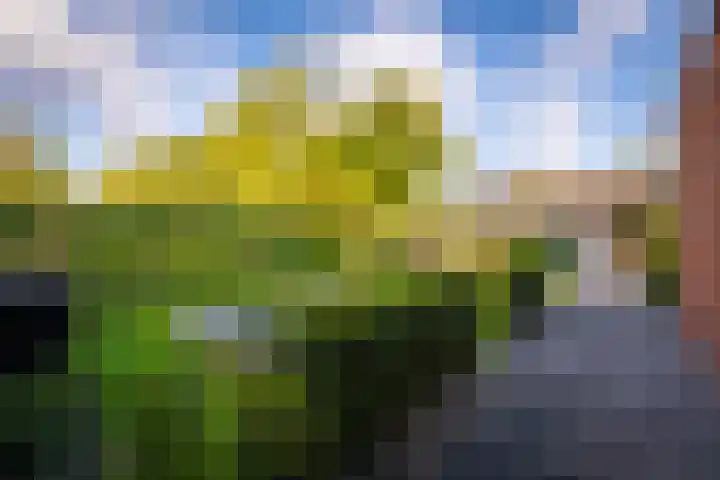 Samuel de Marezhof 99 Maarsbergen thumbnail 48