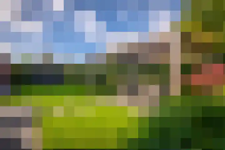 Samuel de Marezhof 99 Maarsbergen thumbnail 49