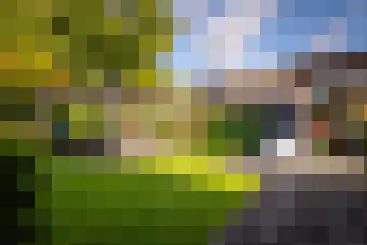Samuel de Marezhof 99 Maarsbergen thumbnail 50