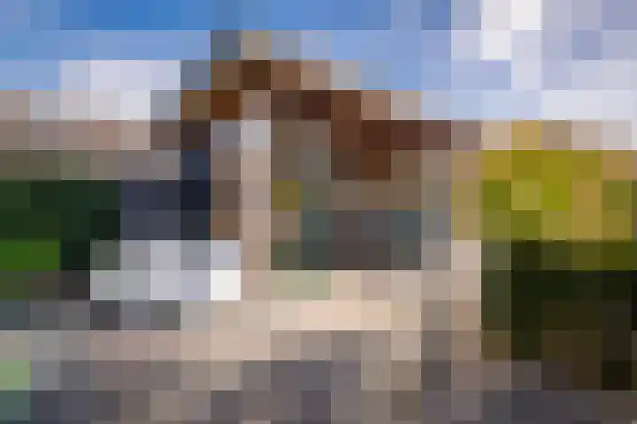 Samuel de Marezhof 99 Maarsbergen thumbnail 53