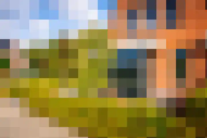 Samuel de Marezhof 99 Maarsbergen thumbnail 63