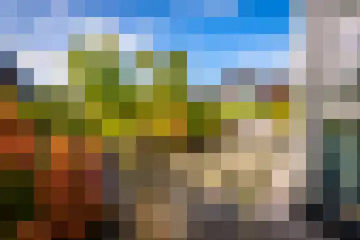 Samuel de Marezhof 99 Maarsbergen thumbnail 64