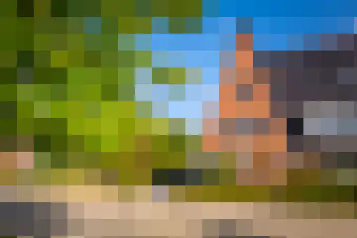 Samuel de Marezhof 99 Maarsbergen thumbnail 69