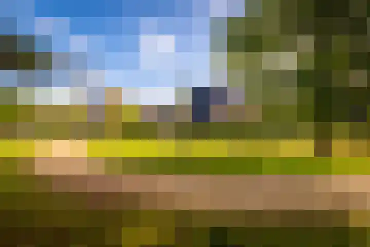 Samuel de Marezhof 99 Maarsbergen thumbnail 70