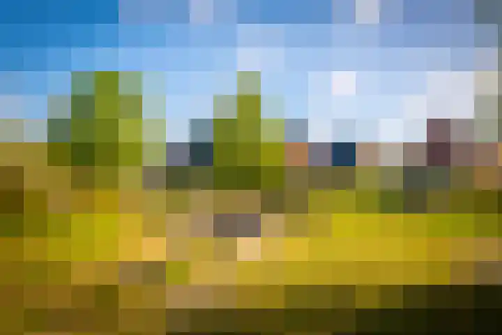 Samuel de Marezhof 99 Maarsbergen thumbnail 72
