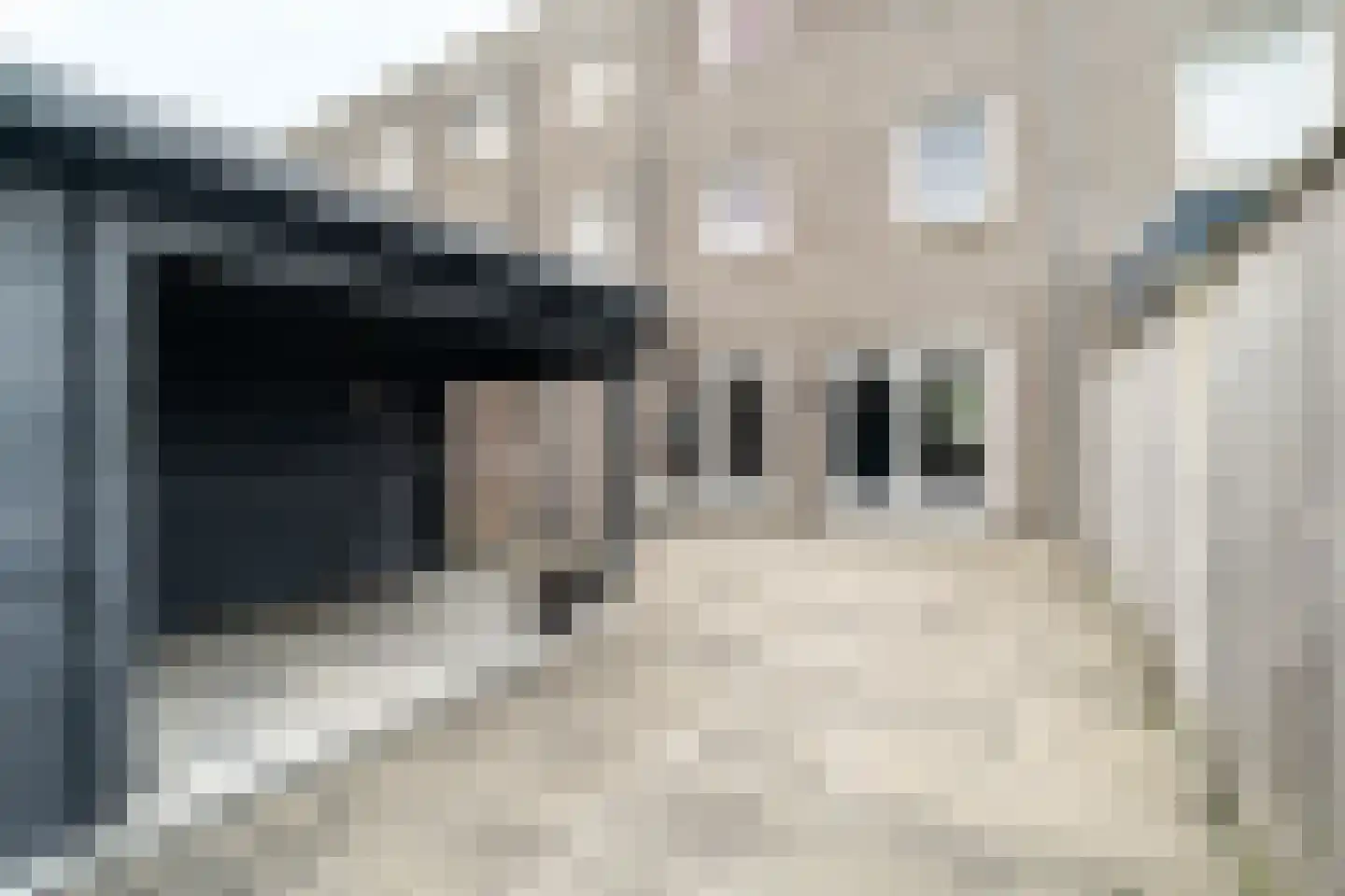 Samuel Esmeijerstraat 203 Vlaardingen thumbnail 28