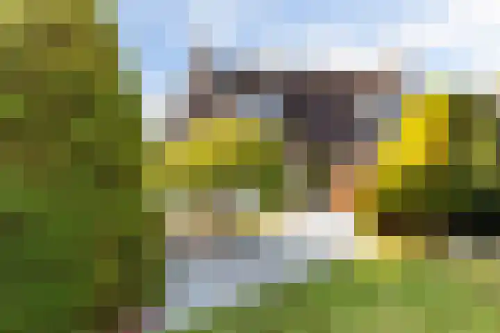 Samuel Gerssenlaan 37 Nijkerk thumbnail 7