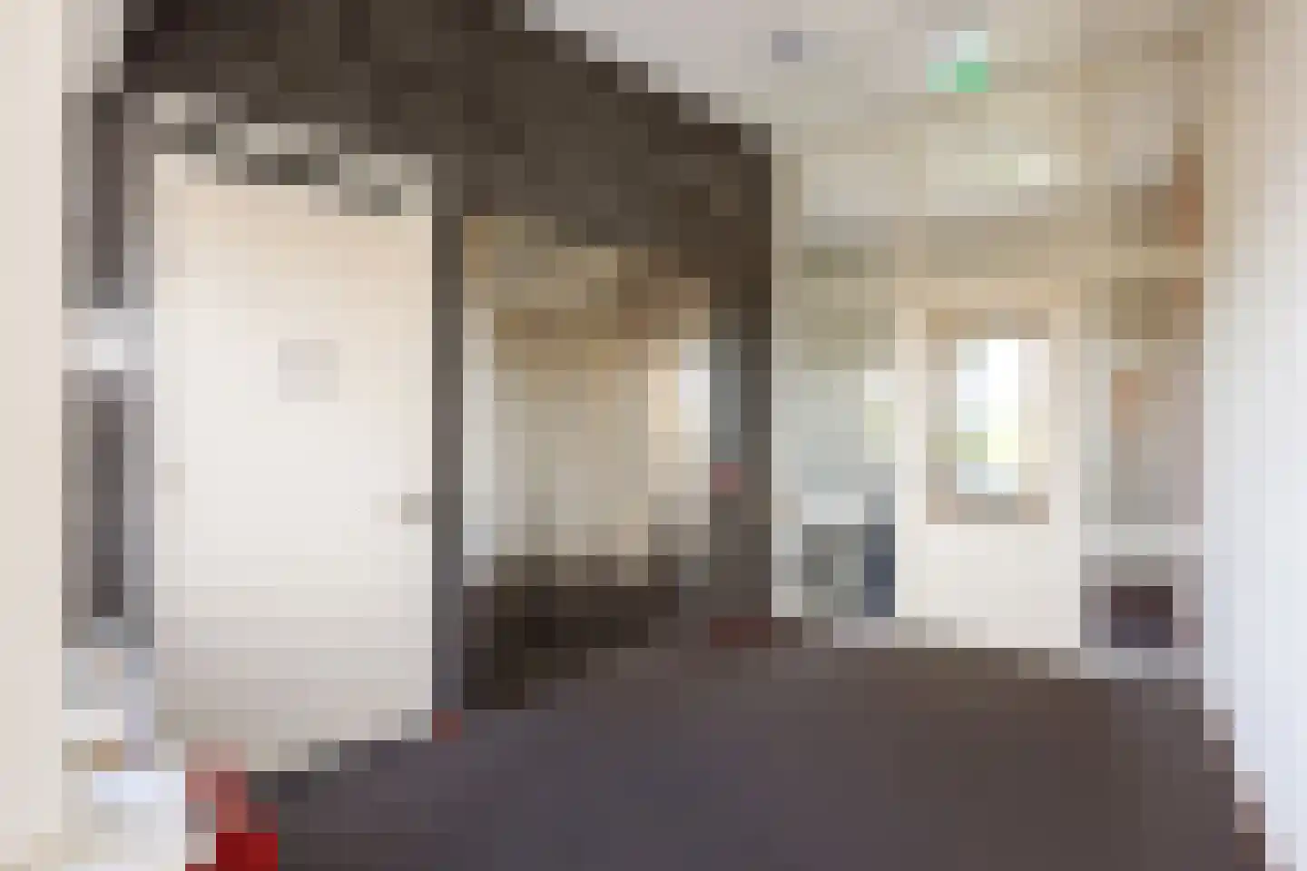 Samuël Leviestraat 66 Leek thumbnail 10