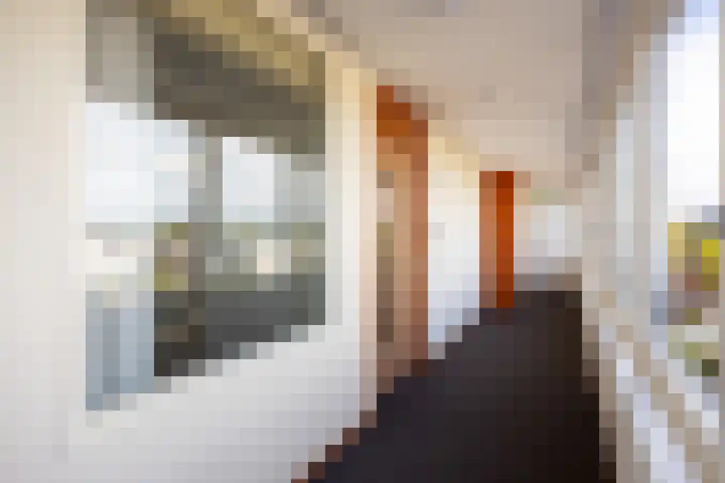 Samuël Leviestraat 66 Leek thumbnail 11