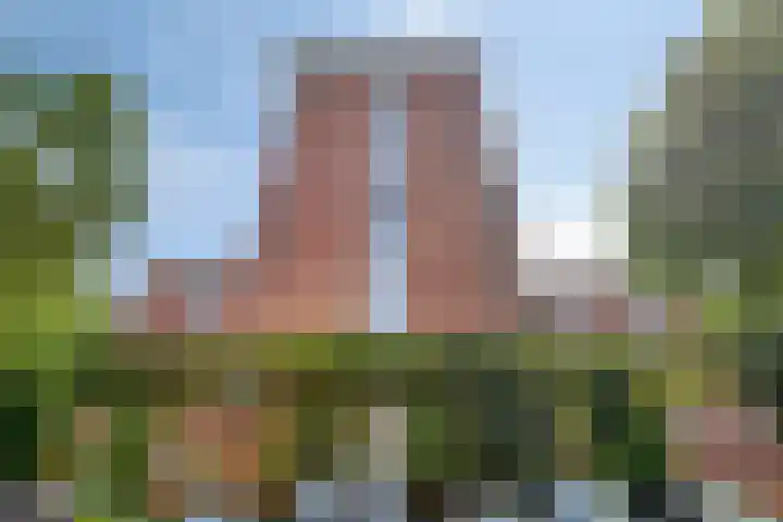 Samuel Morsestraat 24 's-Hertogenbosch thumbnail 25