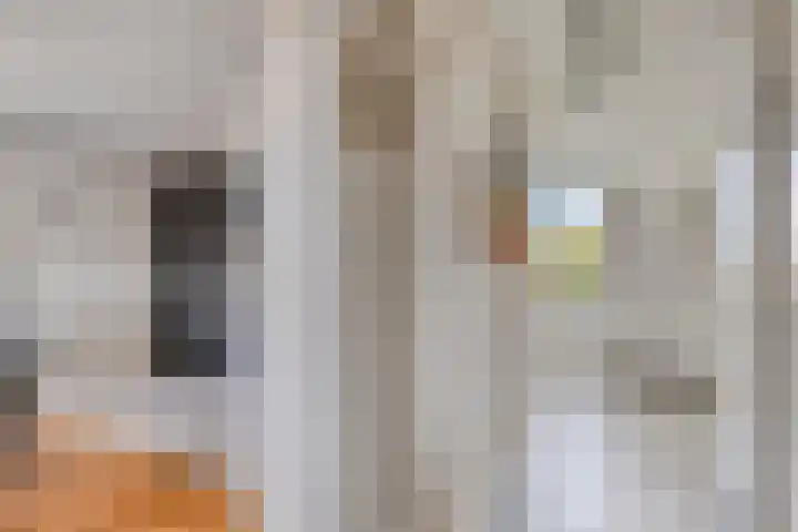 Samuel Morsestraat 24 's-Hertogenbosch thumbnail 26