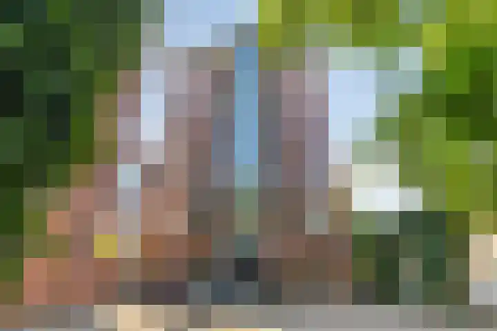 Samuel Morsestraat 24 's-Hertogenbosch thumbnail 30