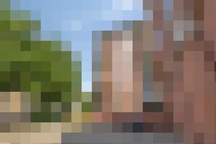 Samuel Morsestraat 24 's-Hertogenbosch thumbnail 31