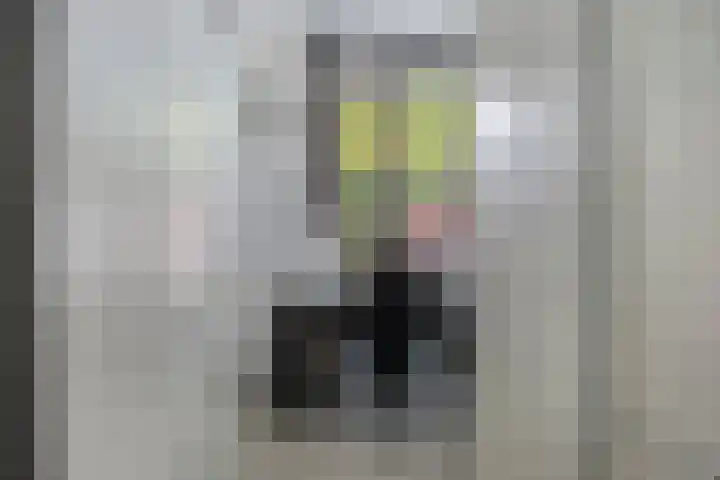 Samuel Morsestraat 33 's-Hertogenbosch thumbnail 16