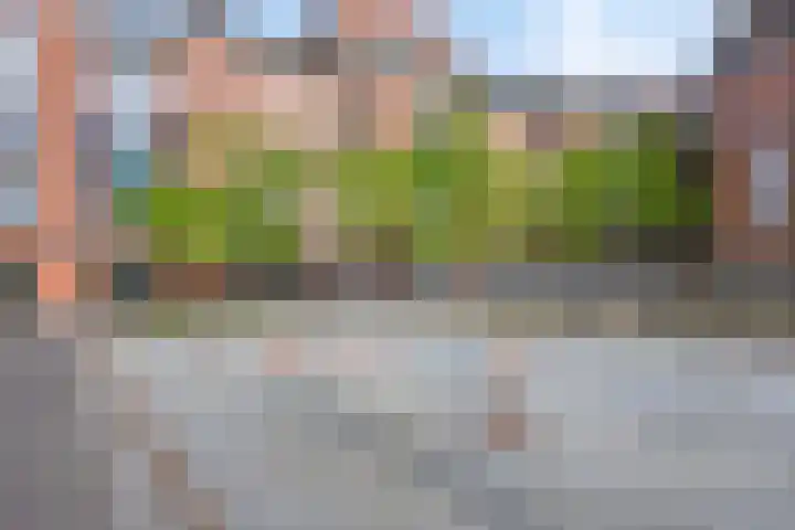 Samuel Morsestraat 33 's-Hertogenbosch thumbnail 26