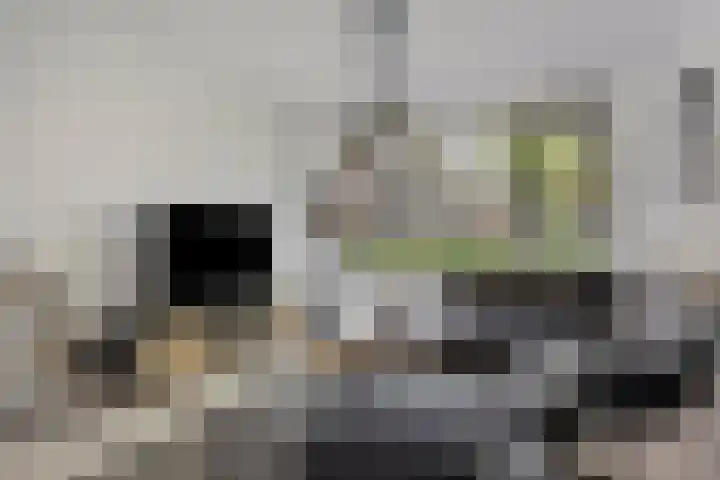 Samuel Morsestraat 33 's-Hertogenbosch thumbnail 4