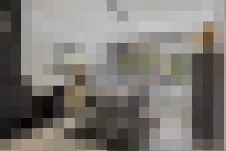Samuel Morsestraat 33 's-Hertogenbosch thumbnail 5