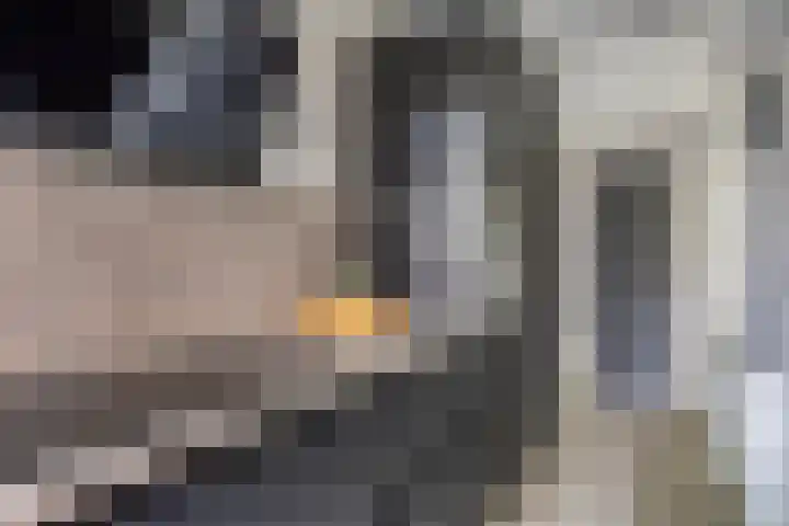 Samuel Morsestraat 33 's-Hertogenbosch thumbnail 8