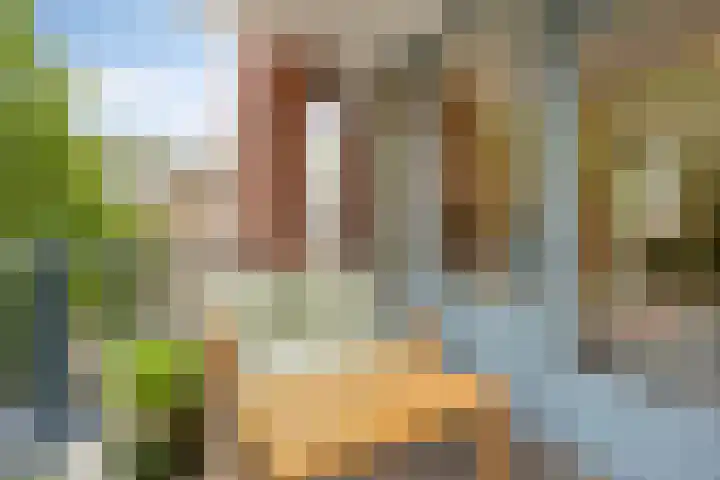 Samuel Morsestraat 8 's-Hertogenbosch thumbnail 12